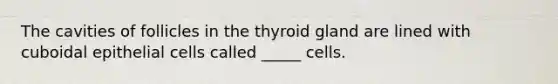 The cavities of follicles in the thyroid gland are lined with cuboidal epithelial cells called _____ cells.