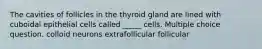 The cavities of follicles in the thyroid gland are lined with cuboidal epithelial cells called _____ cells. Multiple choice question. colloid neurons extrafollicular follicular