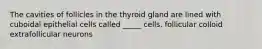 The cavities of follicles in the thyroid gland are lined with cuboidal epithelial cells called _____ cells. follicular colloid extrafollicular neurons