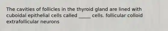 The cavities of follicles in the thyroid gland are lined with cuboidal epithelial cells called _____ cells. follicular colloid extrafollicular neurons