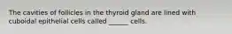 The cavities of follicles in the thyroid gland are lined with cuboidal epithelial cells called ______ cells.