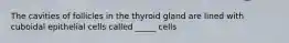 The cavities of follicles in the thyroid gland are lined with cuboidal epithelial cells called _____ cells