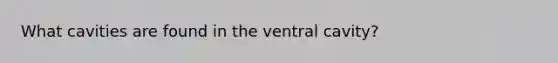 What cavities are found in the ventral cavity?