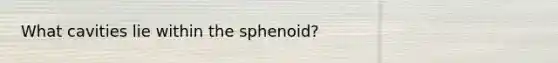 What cavities lie within the sphenoid?