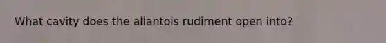 What cavity does the allantois rudiment open into?