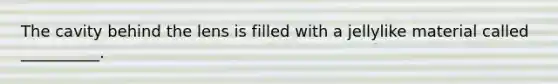 The cavity behind the lens is filled with a jellylike material called __________.