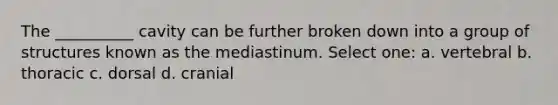 The __________ cavity can be further broken down into a group of structures known as the mediastinum. Select one: a. vertebral b. thoracic c. dorsal d. cranial