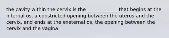 the cavity within the cervix is the ______ ______ that begins at the internal os, a constricted opening between the uterus and the cervix, and ends at the exeternal os, the opening between the cervix and the vagina