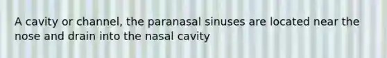 A cavity or channel, the paranasal sinuses are located near the nose and drain into the nasal cavity