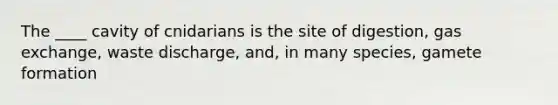 The ____ cavity of cnidarians is the site of digestion, gas exchange, waste discharge, and, in many species, gamete formation