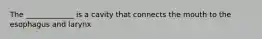 The _____________ is a cavity that connects the mouth to the esophagus and larynx