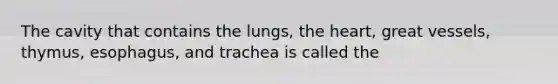 The cavity that contains the lungs, <a href='https://www.questionai.com/knowledge/kya8ocqc6o-the-heart' class='anchor-knowledge'>the heart</a>, great vessels, thymus, esophagus, and trachea is called the