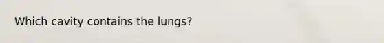 Which cavity contains the lungs?