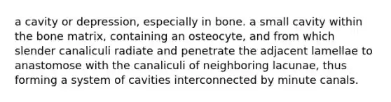 a cavity or depression, especially in bone. a small cavity within the bone matrix, containing an osteocyte, and from which slender canaliculi radiate and penetrate the adjacent lamellae to anastomose with the canaliculi of neighboring lacunae, thus forming a system of cavities interconnected by minute canals.