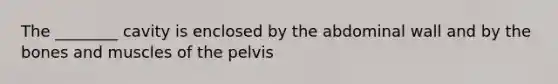 The ________ cavity is enclosed by the abdominal wall and by the bones and muscles of the pelvis