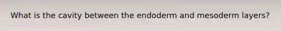 What is the cavity between the endoderm and mesoderm layers?