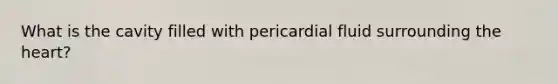 What is the cavity filled with pericardial fluid surrounding the heart?