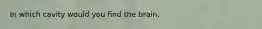 In which cavity would you find the brain.