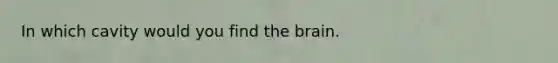 In which cavity would you find the brain.