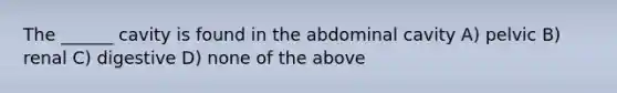 The ______ cavity is found in the abdominal cavity A) pelvic B) renal C) digestive D) none of the above