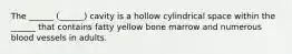 The ______ (______) cavity is a hollow cylindrical space within the ______ that contains fatty yellow bone marrow and numerous blood vessels in adults.