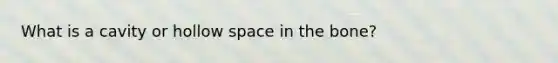 What is a cavity or hollow space in the bone?