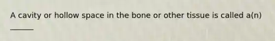 A cavity or hollow space in the bone or other tissue is called a(n) ______