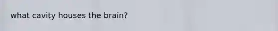 what cavity houses the brain?