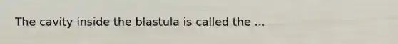 The cavity inside the blastula is called the ...