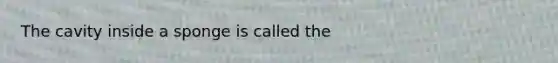 The cavity inside a sponge is called the