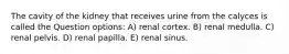 The cavity of the kidney that receives urine from the calyces is called the Question options: A) renal cortex. B) renal medulla. C) renal pelvis. D) renal papilla. E) renal sinus.