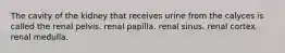 The cavity of the kidney that receives urine from the calyces is called the renal pelvis. renal papilla. renal sinus. renal cortex. renal medulla.
