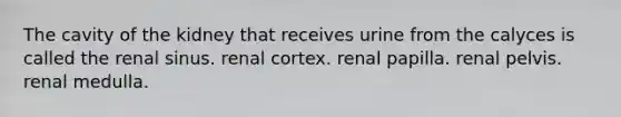 The cavity of the kidney that receives urine from the calyces is called the renal sinus. renal cortex. renal papilla. renal pelvis. renal medulla.