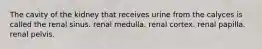 The cavity of the kidney that receives urine from the calyces is called the renal sinus. renal medulla. renal cortex. renal papilla. renal pelvis.