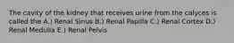 The cavity of the kidney that receives urine from the calyces is called the A.) Renal Sinus B.) Renal Papilla C.) Renal Cortex D.) Renal Medulla E.) Renal Pelvis