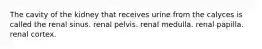 The cavity of the kidney that receives urine from the calyces is called the renal sinus. renal pelvis. renal medulla. renal papilla. renal cortex.