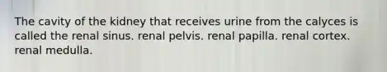 The cavity of the kidney that receives urine from the calyces is called the renal sinus. renal pelvis. renal papilla. renal cortex. renal medulla.