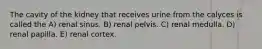 The cavity of the kidney that receives urine from the calyces is called the A) renal sinus. B) renal pelvis. C) renal medulla. D) renal papilla. E) renal cortex.