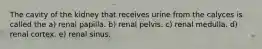 The cavity of the kidney that receives urine from the calyces is called the a) renal papilla. b) renal pelvis. c) renal medulla. d) renal cortex. e) renal sinus.