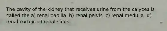 The cavity of the kidney that receives urine from the calyces is called the a) renal papilla. b) renal pelvis. c) renal medulla. d) renal cortex. e) renal sinus.