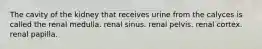 The cavity of the kidney that receives urine from the calyces is called the renal medulla. renal sinus. renal pelvis. renal cortex. renal papilla.