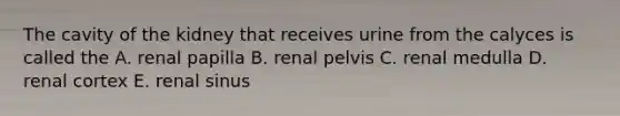 The cavity of the kidney that receives urine from the calyces is called the A. renal papilla B. renal pelvis C. renal medulla D. renal cortex E. renal sinus