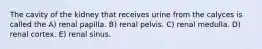 The cavity of the kidney that receives urine from the calyces is called the A) renal papilla. B) renal pelvis. C) renal medulla. D) renal cortex. E) renal sinus.