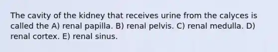 The cavity of the kidney that receives urine from the calyces is called the A) renal papilla. B) renal pelvis. C) renal medulla. D) renal cortex. E) renal sinus.