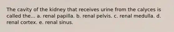 The cavity of the kidney that receives urine from the calyces is called the... a. renal papilla. b. renal pelvis. c. renal medulla. d. renal cortex. e. renal sinus.