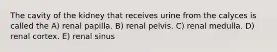 The cavity of the kidney that receives urine from the calyces is called the A) renal papilla. B) renal pelvis. C) renal medulla. D) renal cortex. E) renal sinus