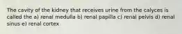 The cavity of the kidney that receives urine from the calyces is called the a) renal medulla b) renal papilla c) renal pelvis d) renal sinus e) renal cortex