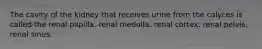 The cavity of the kidney that receives urine from the calyces is called the renal papilla. renal medulla. renal cortex. renal pelvis. renal sinus.