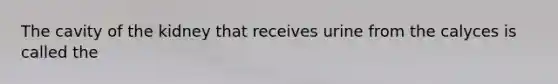 The cavity of the kidney that receives urine from the calyces is called the