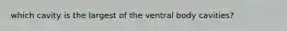 which cavity is the largest of the ventral body cavities?
